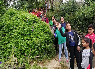 Group of school children trekking through lush hillside vegetation, exploring local ecology as part of the MIS Village Immersion.